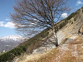 09 Sentiero per lo Zuc di Valbona